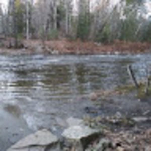 Meet your Posher, Jean